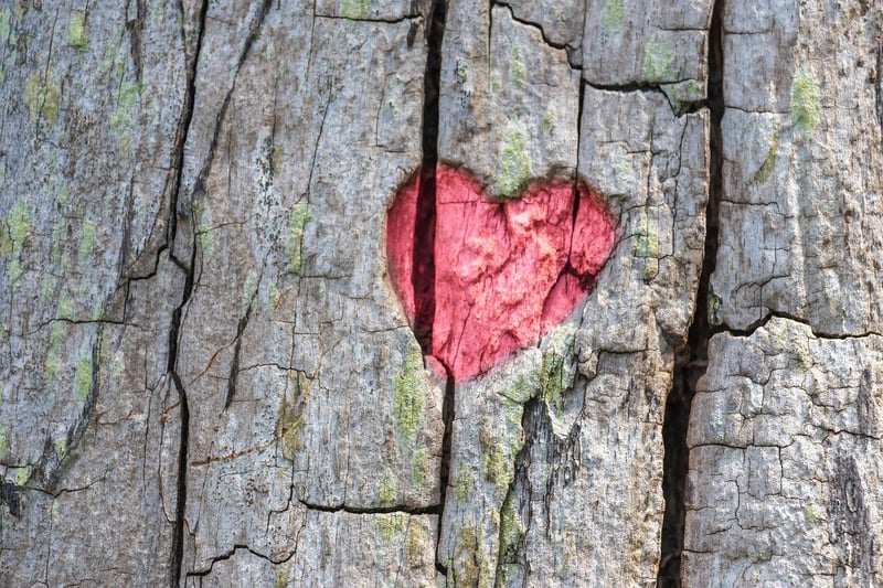 Commemorative Tree